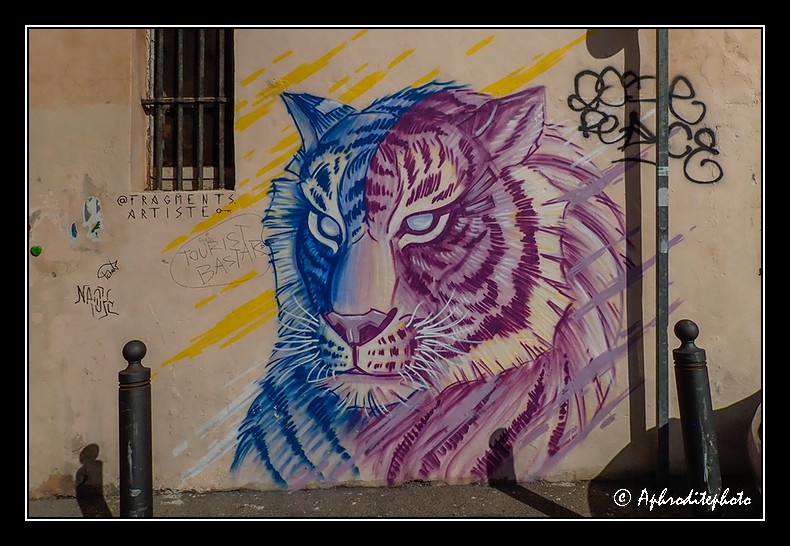 Marseille Street Art Panier 14